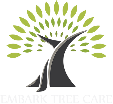 Cardiff Tree Services - Cardiff Tree Services (371x340)