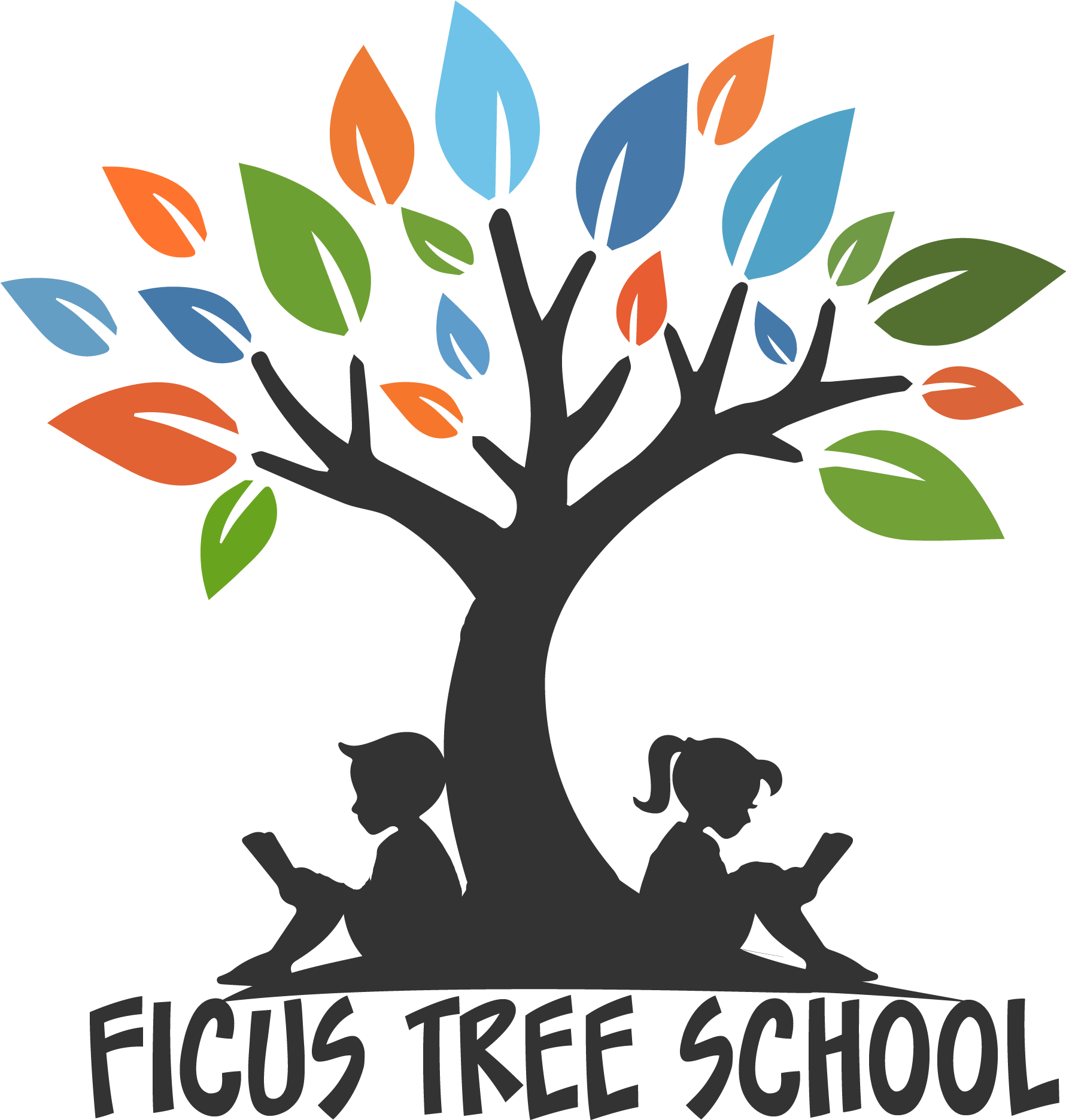 Ficus Tree School Costa Rica - School (1780x1914)