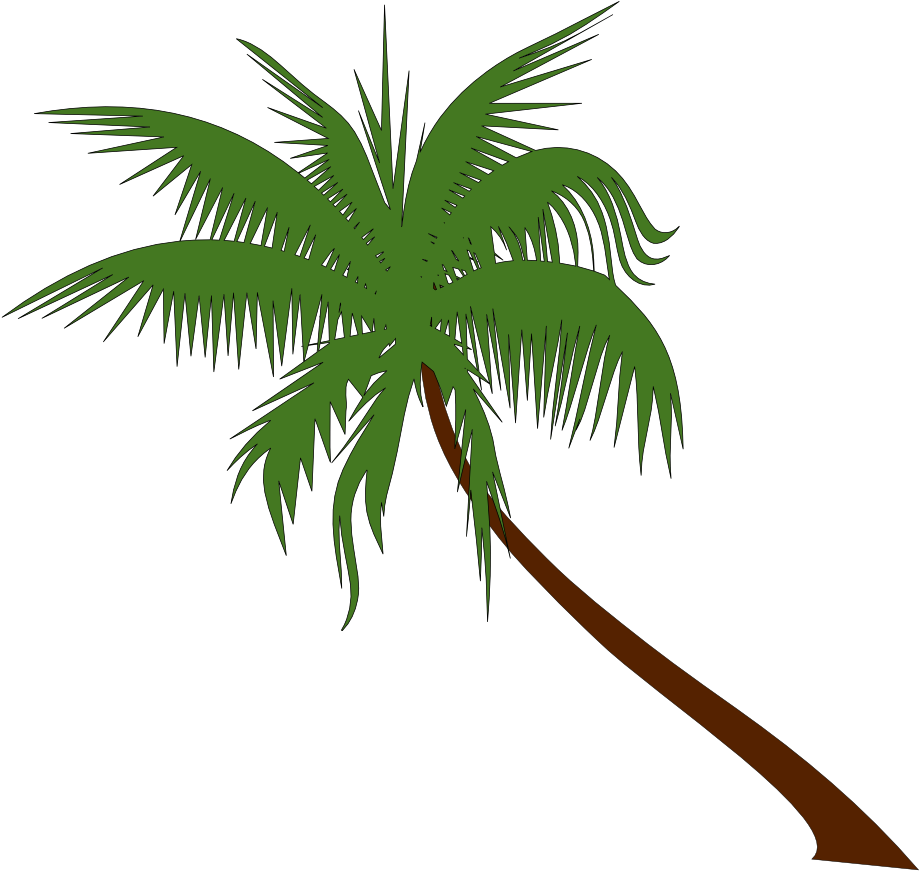 Christmas Palm Tree Clip Art Outline Free Palm Tree - Tissue Paper (999x1002)