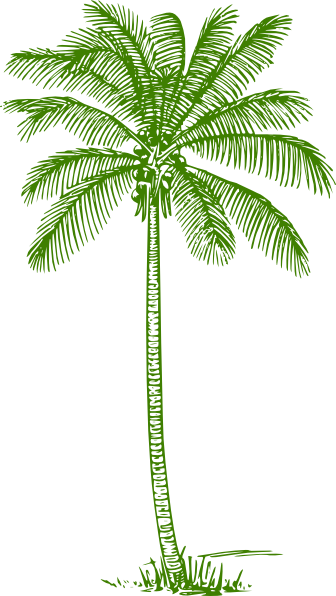 This Free Clip Arts Design Of Palm Tree - Coconut Tree Clipart Black And White (336x596)