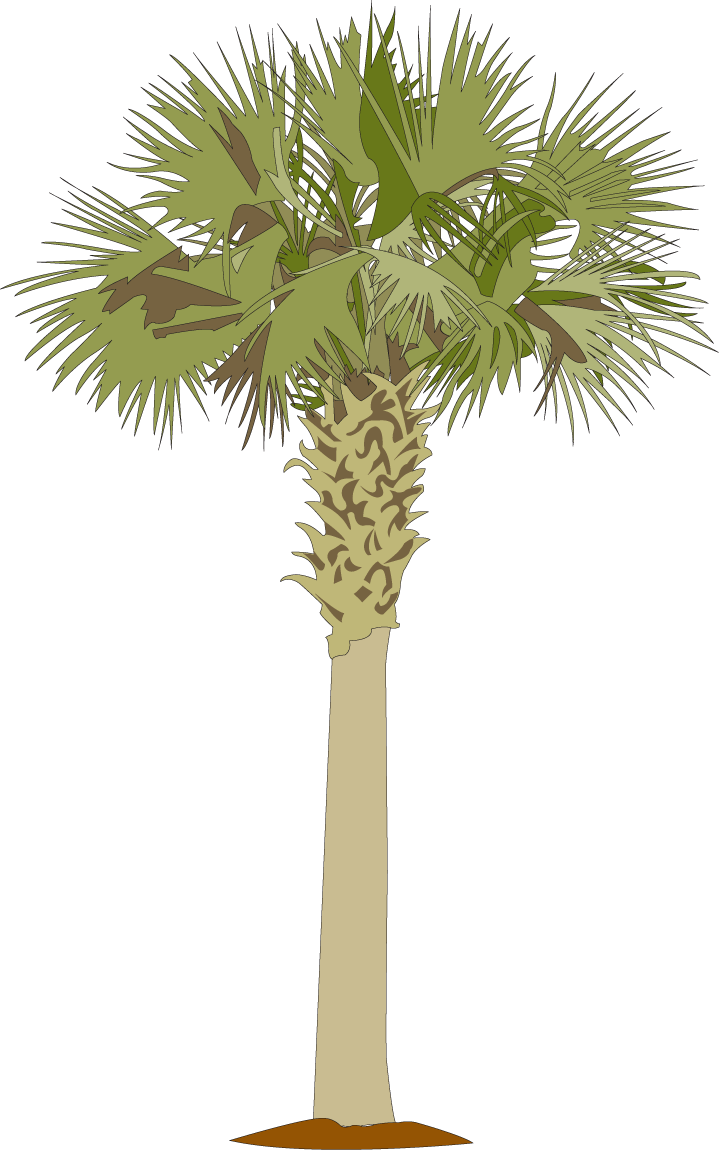 Perfect Palmetto Tree Clip Art Medium Size - Palm Tree Cut Out (719x1150)