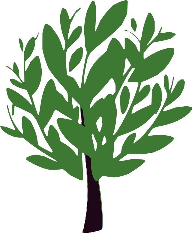 The Bay Tree - Bay Tree Logo (640x778)