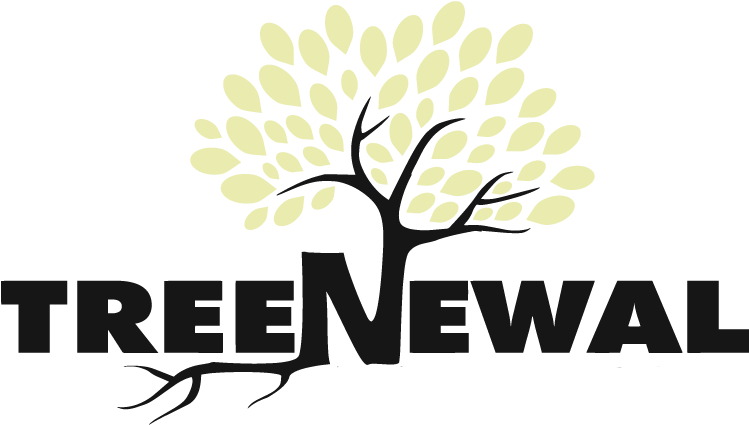 Logo - Smashburger Coupon July 2017 (792x474)