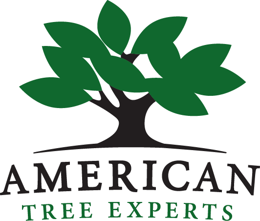 American Tree Experts - American Tree Experts Inc (532x452)