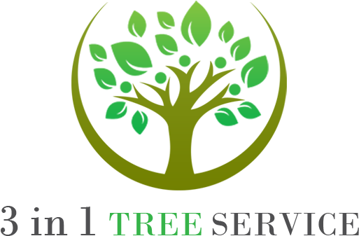 3in1 Tree Service - Logo Design For Greener Environment (519x358)