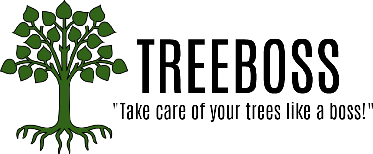 O Root Of Jesse (800x336)