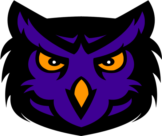 I'm Hoping To Use This Logo In My Fictional Football - Purple Owl Logo (600x500)