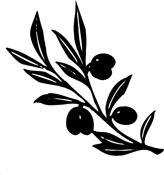 Olivebranch Clip Art At Clker - Olive Branch Black And White (558x596)