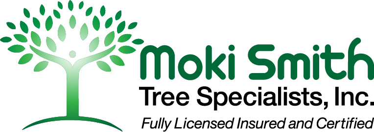 Smith Tree Specialists - Csi Construction Specifications Practice Guide (764x271)