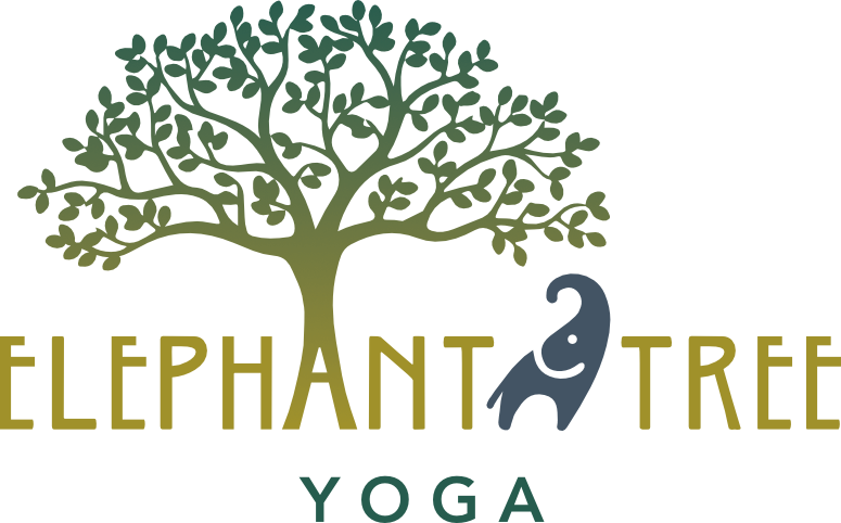 Elephant Tree Yoga - Genealogy Basics In 30 Minutes By Shannon Combs-bennett (775x482)