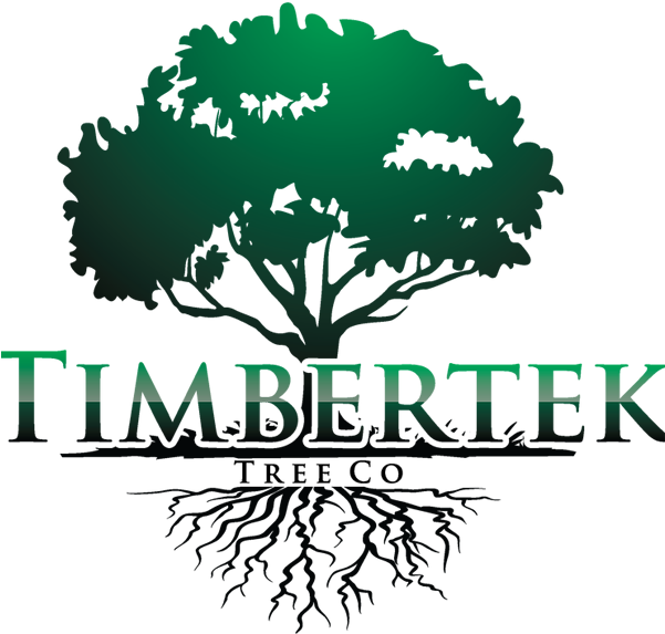 Pin It - Let Your Roots Grow Down Into Him (600x605)