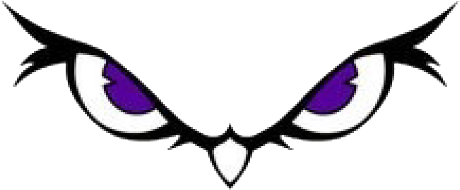 Seymour Owls - Seymour Owls (917x433)