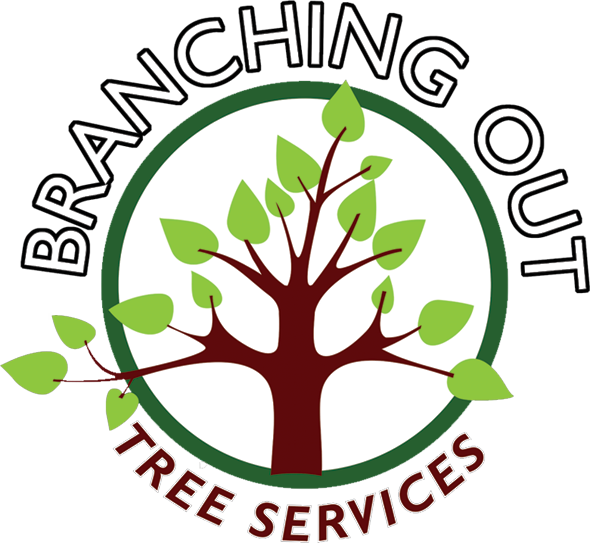 Tree Surgeon, Fencing, Landscaper In Congleton And - Congleton (590x543)
