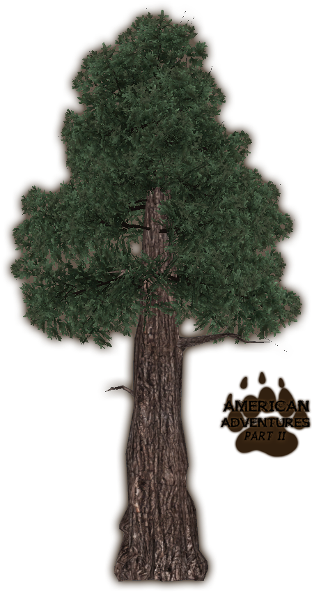 Redwoodcoast Jimmyzhoopz - Coast Red Wood Tree Png (848x848)