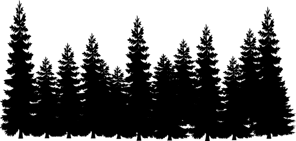 Shadows Clipart Pine Tree - Pine Trees Clipart Black And White (600x286)