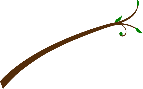 Twig templates. Картинки для детей на прозрачном фоне Twigs. Twig Flashcard. Twig cartoon. Twig Clipart.