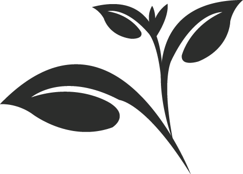 Cygnet Teas Ltd - Tea Leaves Clipart Png (474x340)