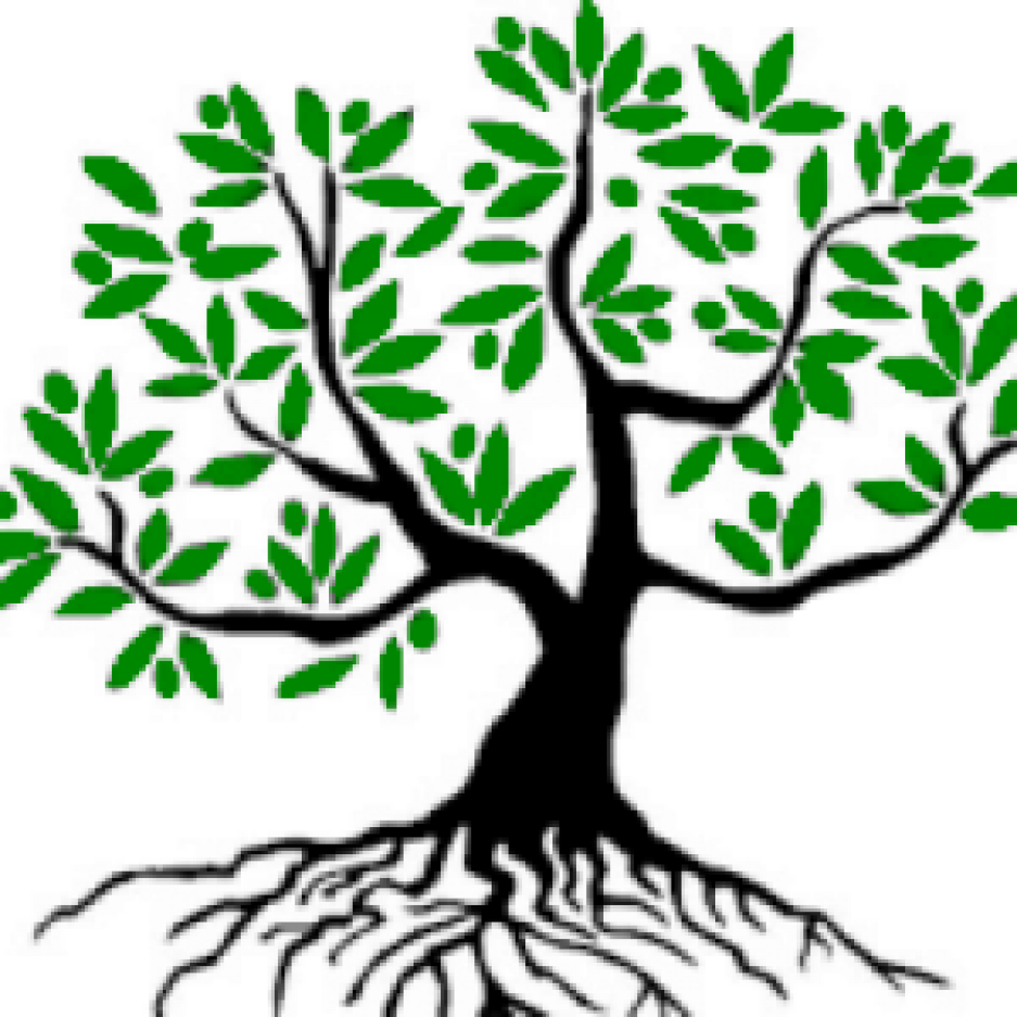 Good Tree ~ شجرة طيبة - Olive Tree Clip Art (937x937)