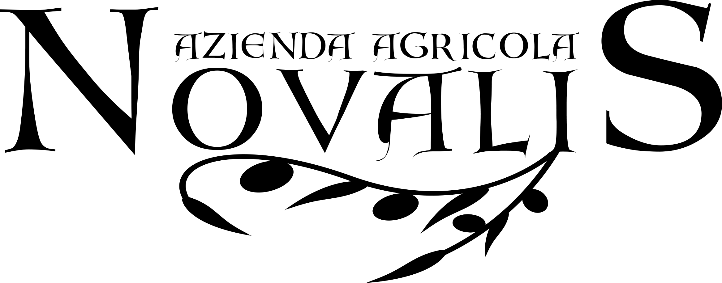 Greybe Fine Olive Oils-4 - Olive Oil (2334x916)