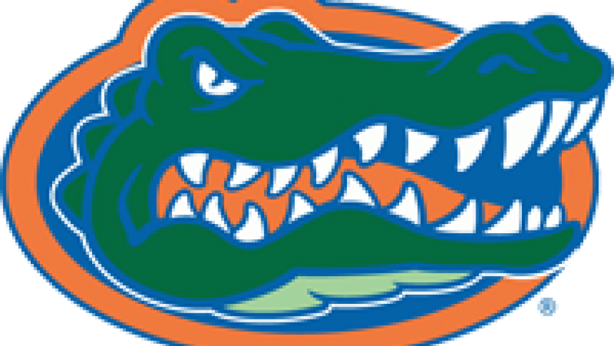 Florida Gators Clipart - University Of Florida Flag (860x485)