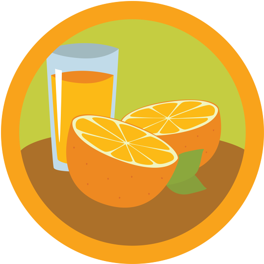 Floridian Themes Including Oranges, Beaches, Alligators, - Sour (670x670)
