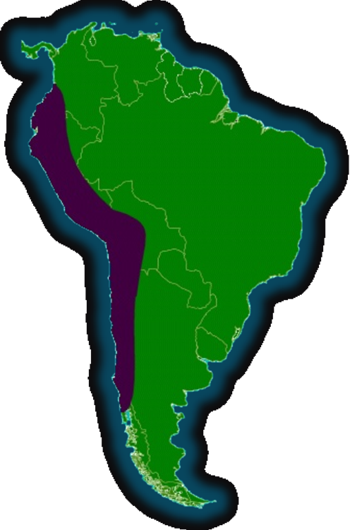 This Is A Picture Of Machu Picchu - Atlas (508x768)