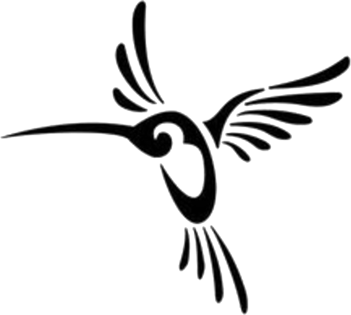 Jungle Lodge Peru - Black And White Hummingbird (708x636)