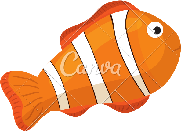 Clown Fish Cartoon - Drawing (800x800)