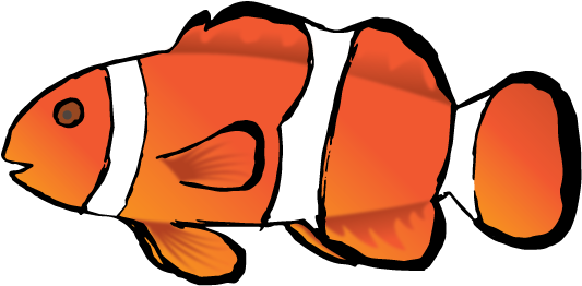 After Embedding The Trace I Removed The Background - Coral Reef Fish (900x500)
