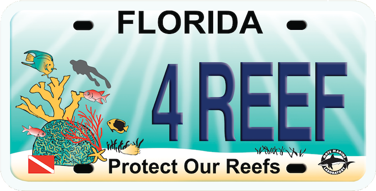 Protect Our Reef Plate - Florida Save Our Seas License Plate (800x438)