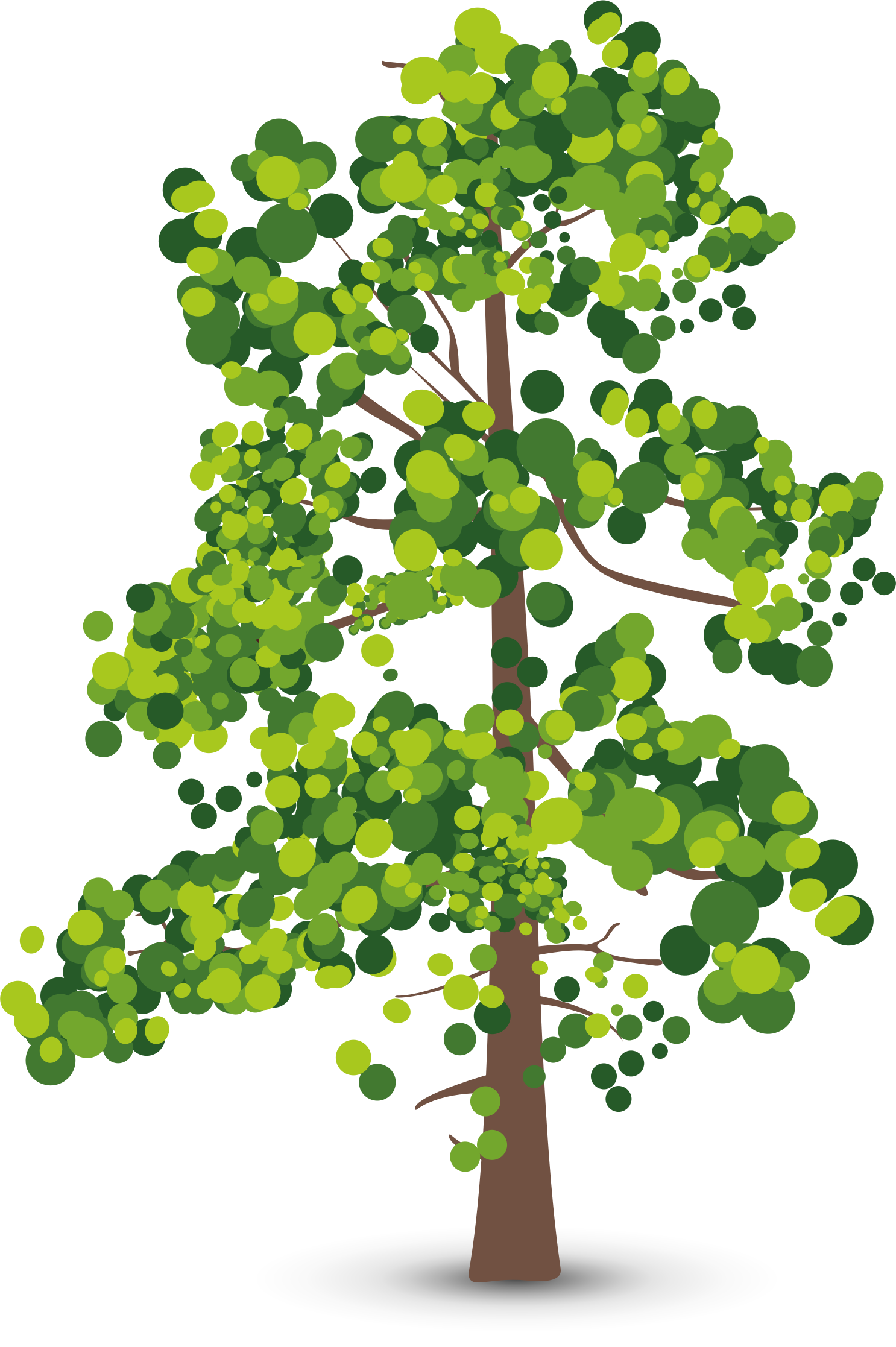 Big Image - Carbon Dioxide Oxygen Cycle (1486x2234)