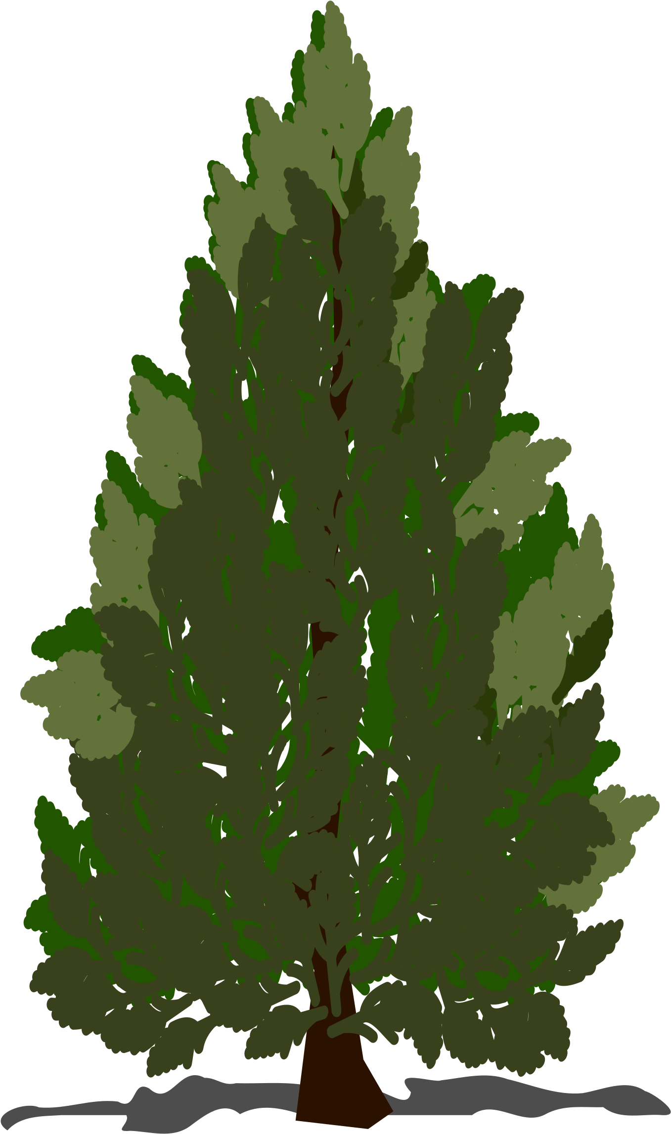 Pine Tree Clipart Swamp Tree - Clip Art Pine Tree (2400x2400)