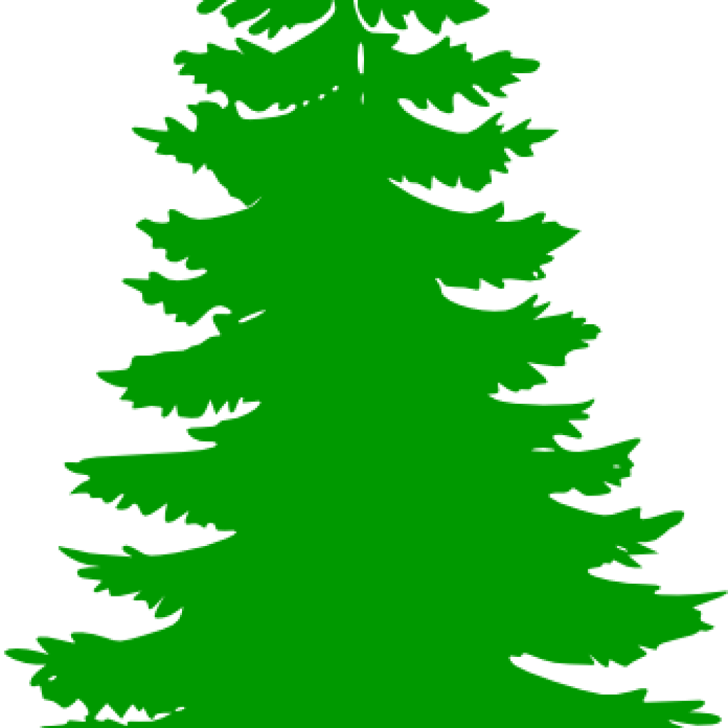 Pine Tree Clip Art Pine Tree Clip Art At Clker Vector - Pine Tree Clip Art (1024x1024)