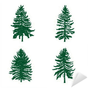 Set Of Different Silhouettes Of Green Pine Trees, Vector - Cedar Tree Silhouette (400x400)