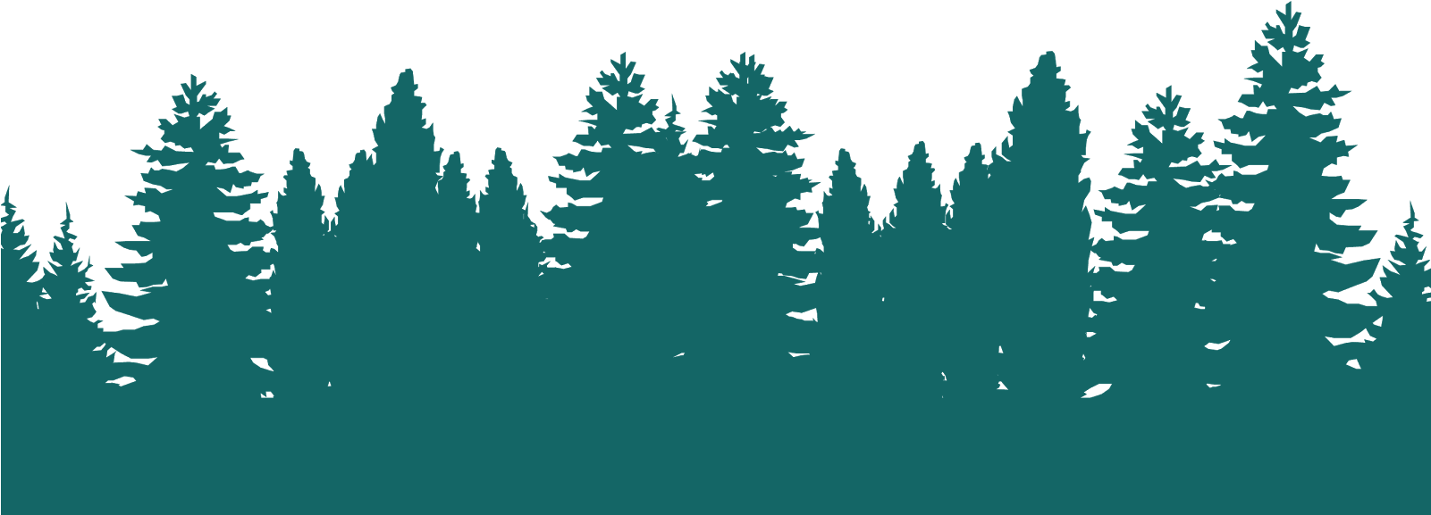 June - Forest Silhouette Png (1600x588)