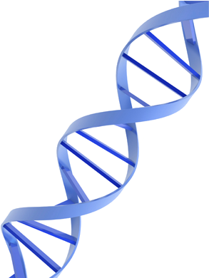 Information And Guidance For Your Personalised Health - Genetic Png (400x400)