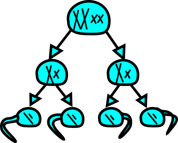 Genetics - Clipart - Mitosis Clip Art Png (600x483)