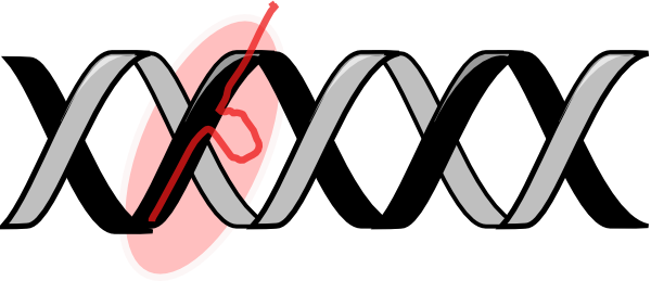 What If We Could Edit Our Genes To Cure Diseases We're - Crispr Clipart (600x259)