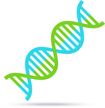 Genetic Disorders - Dna Vector Flat (429x441)
