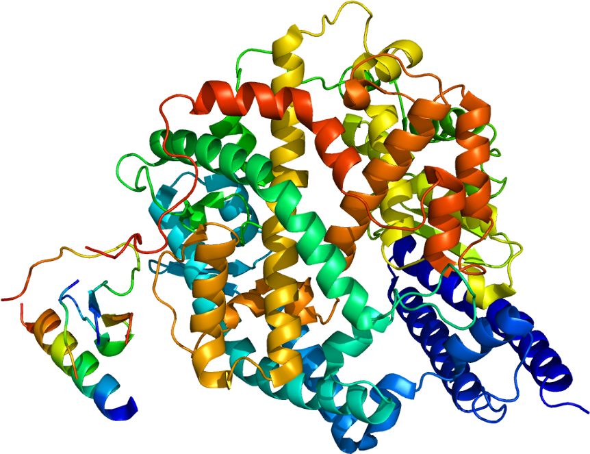 Angiotensin Converting Enzyme Structure Pubmed (911x712)