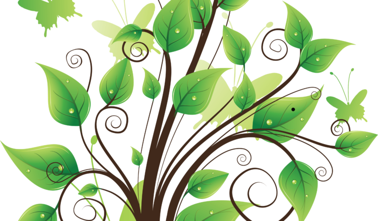 [new 55 ] Celebrated Tree Png Tree Full - Дерево Вектор Png (768x450)