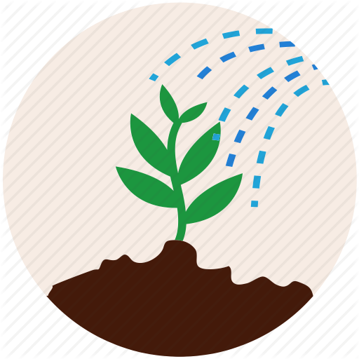 Plant Icon - Tree Flat Icon Png (512x512)