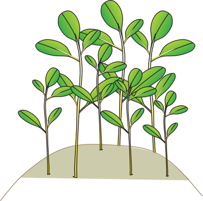 Index Of /ress Tice/1 Partage/visuel/ian Symbols/flora - Transfer Of Development Rights (400x397)