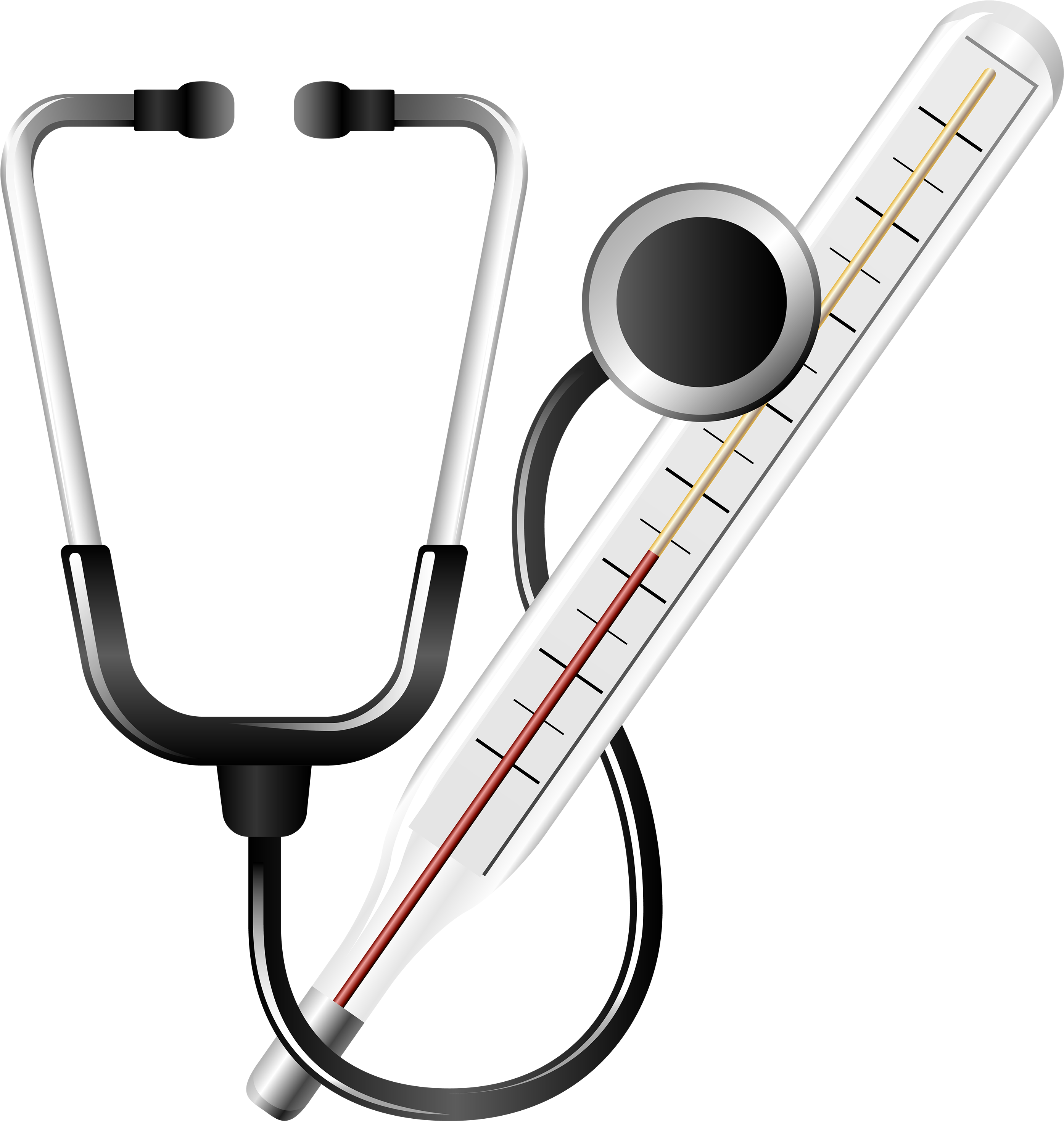 Stethoscope And Medical Thermometer Clipart Web Clipart - Stethoscope Thermometer (481x506)