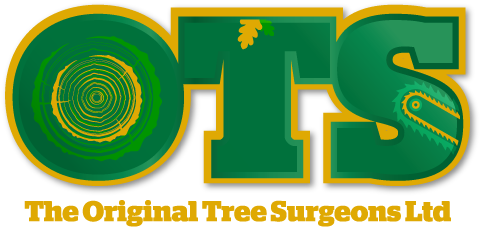 The Original Tree Surgeons, Sevenoaks & Tunbridge Wells - Number (534x260)