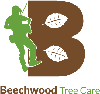 Tree Care Logo (400x366)