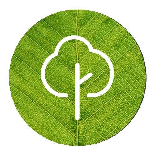 696 - Recreation (501x501)