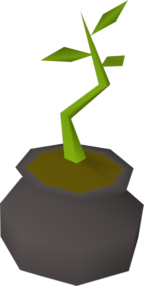 Bagged Plant Detail - Bagged Plant (290x575)