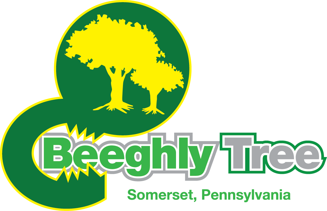 Beeghly Tree Service - Beeghly Tree Service Llc (1072x692)