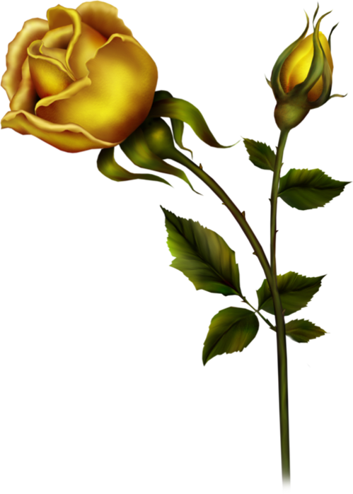 Single Yellow Rose Clipart - Metal Rose Png (499x699)